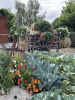 526189748_1467903584634529_3699447741245637432_n