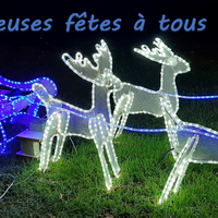 joyeusesfetes