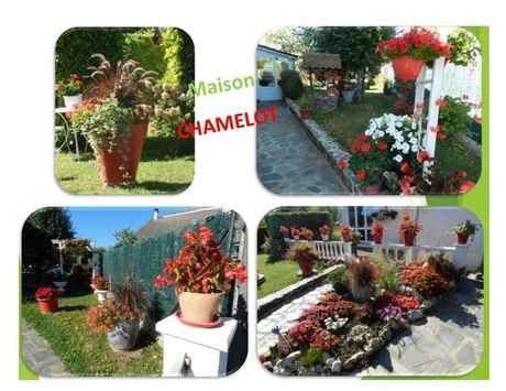 chamelot