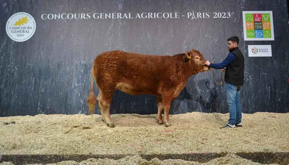 gaecbladou