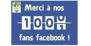 pagefacebook2